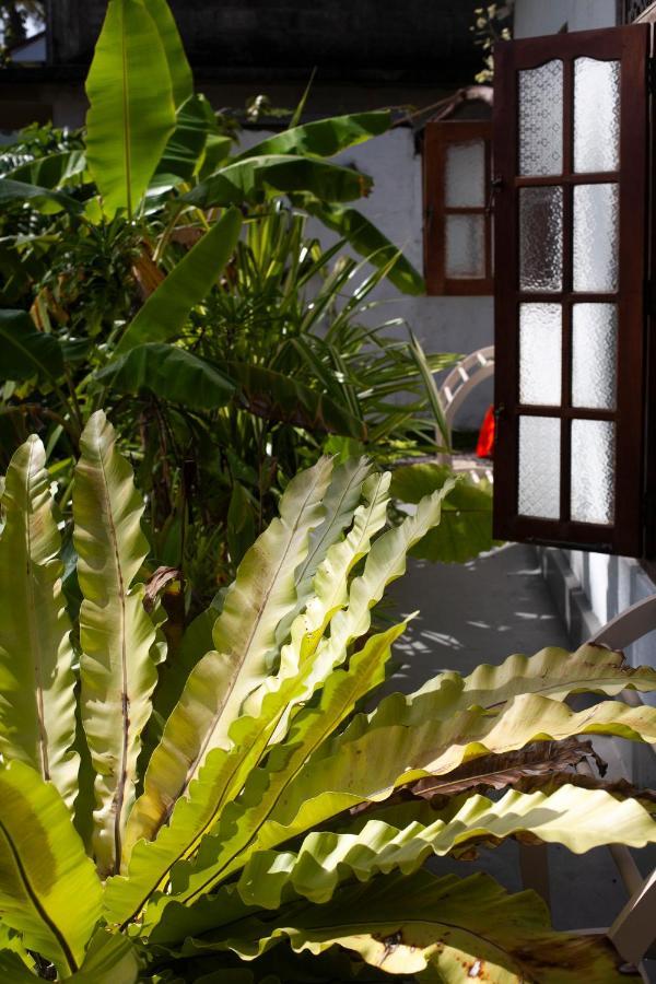 Marshmallow Homestay Ahangama Exterior foto